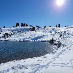 Meet your Posher, Cherry